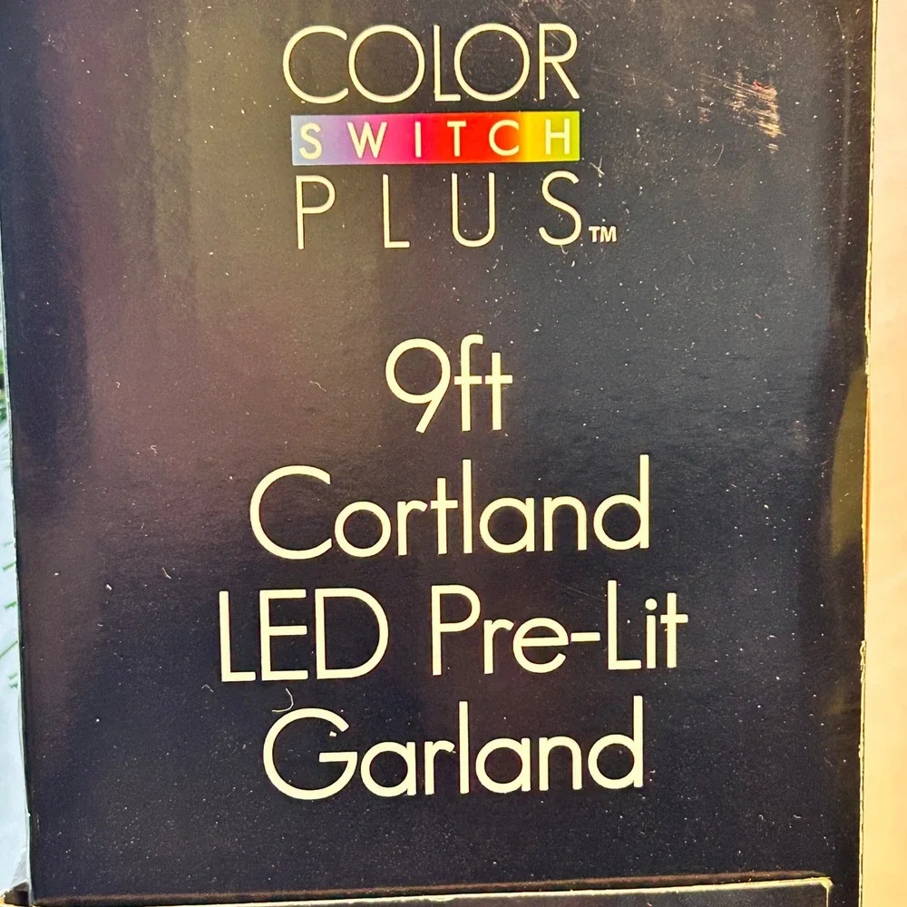 Color Switch Plus 9ft Cortland LED Pre-Lit Garland Color Changing Battery Timer